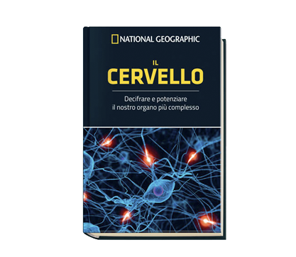 IL CERVELLO