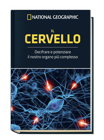 IL CERVELLO